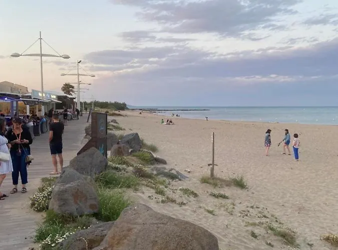 Superbe Apt, 250m Du Mole, Clim, Parking