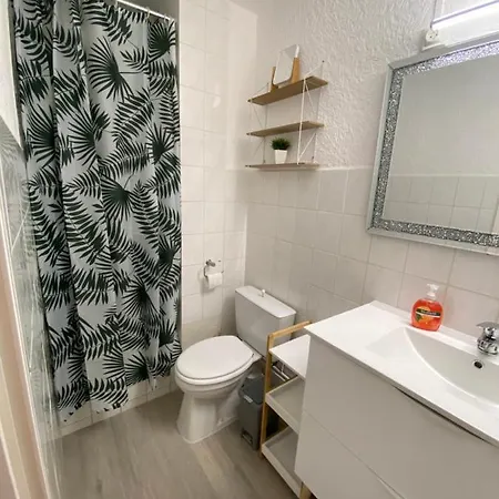 Apartment Superbe Apt, 250m Du Mole, Clim, Parking